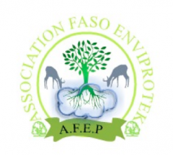 Logo AFEP